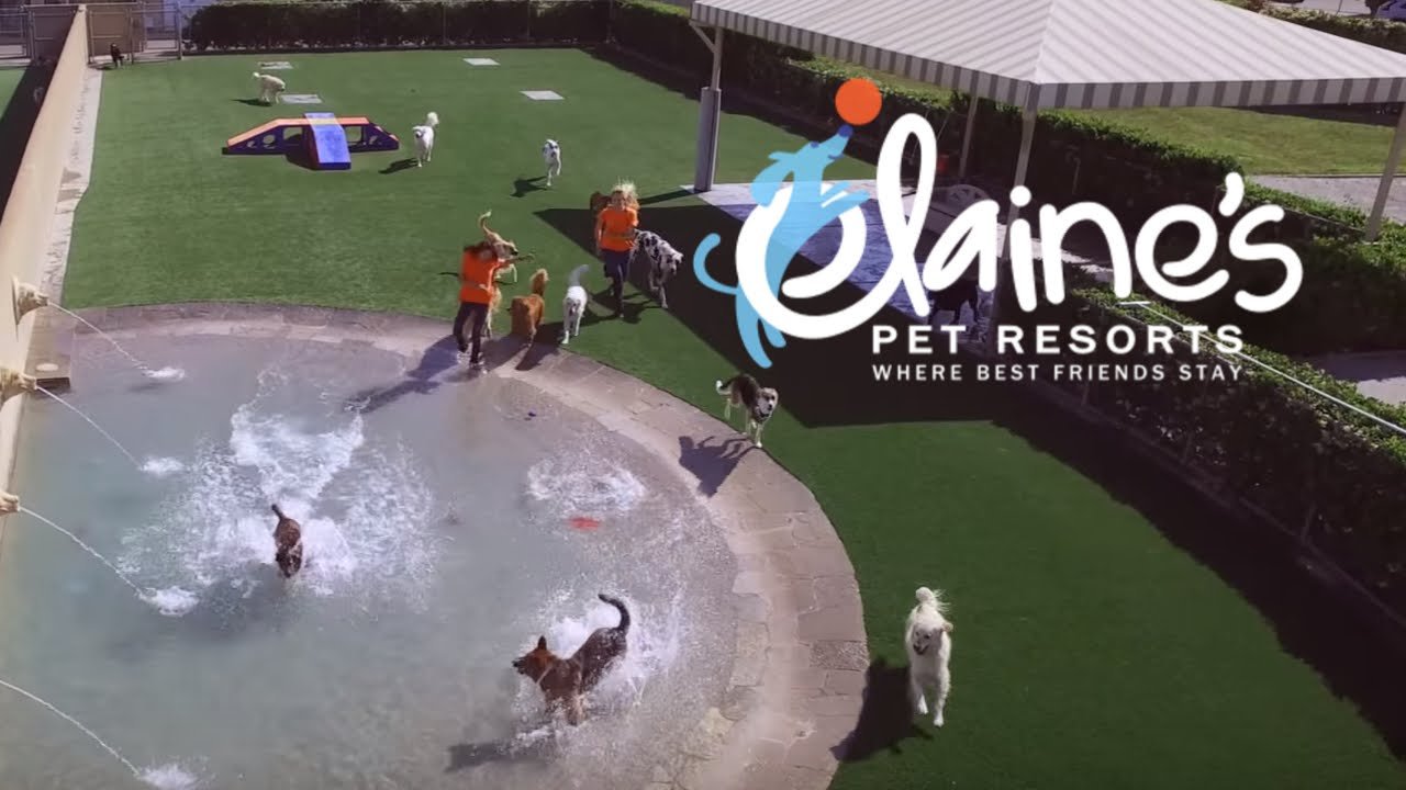 Elaines Pet Resort